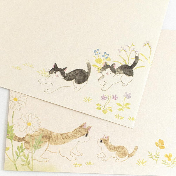 封筒 ねころび 野風とともに