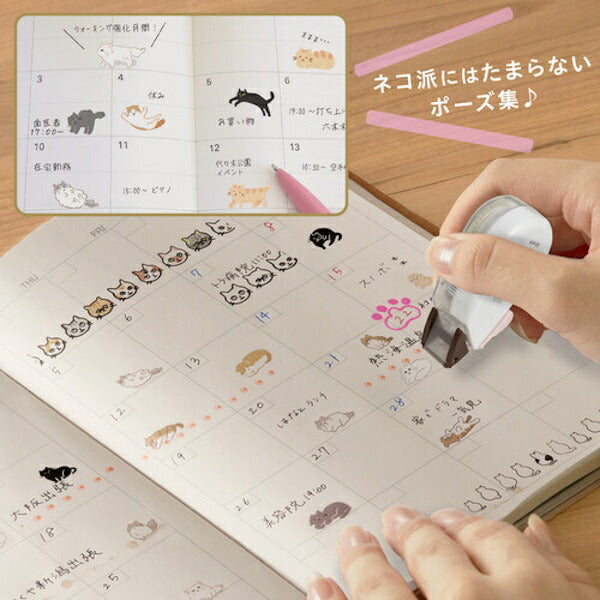 デコラッシュ太幅 限定 ネコラッシュ 7種類セット