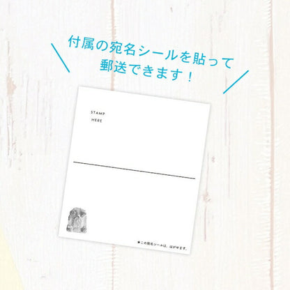 東ちなつ クリア ポストカード 4種類セット