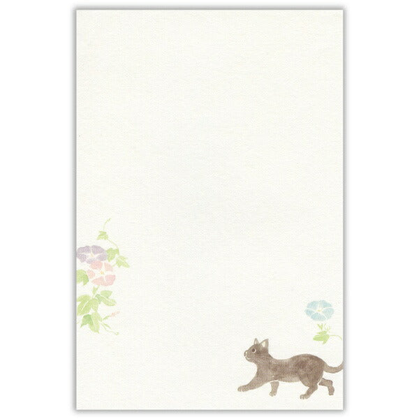 便箋 ねころび 猫と夏の庭