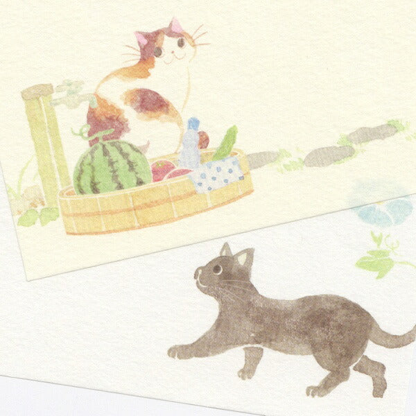 便箋 ねころび 猫と夏の庭