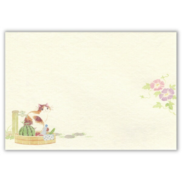 封筒 ねころび 猫と夏の庭