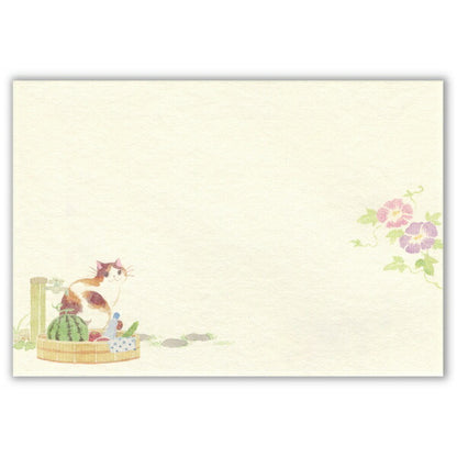 封筒 ねころび 猫と夏の庭