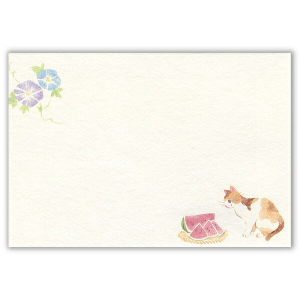 封筒 ねころび 猫と夏の庭