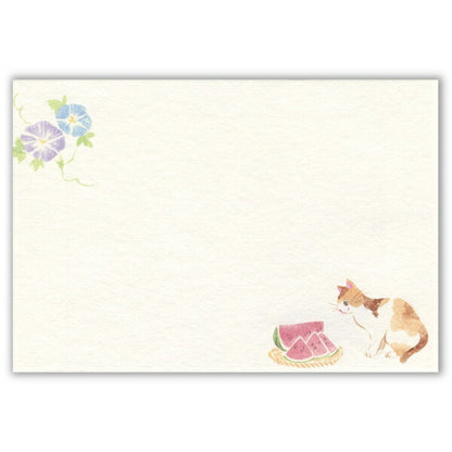 封筒 ねころび 猫と夏の庭