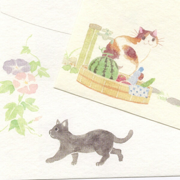 封筒 ねころび 猫と夏の庭