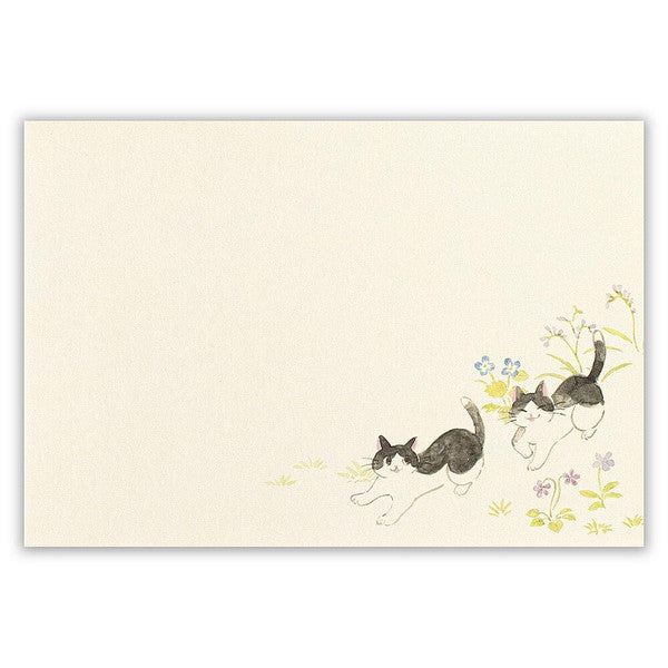 封筒 ねころび 野風とともに