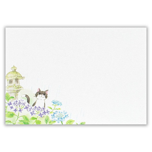 封筒 ねころび 紫陽花と寺ねこA